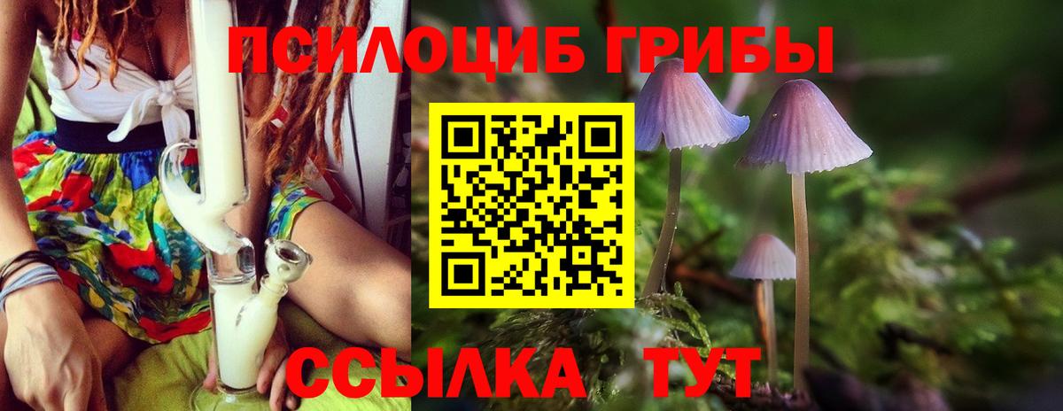 Каменск-Шахтинский  Псилоцибиновые грибы Cubensis  Вход с VPN 